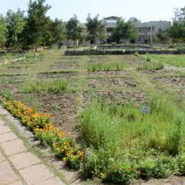 Garden & Forest